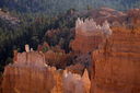 Filename=20081123_0037PS_resize.jpg
Filesize=792KiB
Dimensions=1600x1066
Date added=Dec 02, 2013 20081123_0037PS_resize.jpg