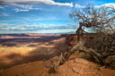 Filename=20100603_0181_2_3.jpg
Filesize=886KiB
Dimensions=1600x1065
Date added=Dec 03, 2013 20100603_0181_2_3.jpg