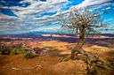 Filename=20100603_0186_7_8blurb.jpg
Filesize=1002KiB
Dimensions=1600x1065
Date added=Dec 03, 2013 20100603_0186_7_8blurb.jpg