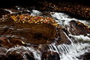 Filename=20101020_0156blurb_resize.jpg
Filesize=991KiB
Dimensions=1600x1067
Date added=Dec 01, 2013 20101020_0156blurb_resize.jpg