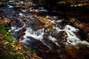 Filename=20101020_0159blurb_resize.jpg
Filesize=931KiB
Dimensions=1600x1067
Date added=Dec 01, 2013 20101020_0159blurb_resize.jpg