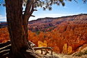 Filename=20101105_0560_561_562blurb_resize.jpg
Filesize=996KiB
Dimensions=1600x1067
Date added=Dec 02, 2013 20101105_0560_561_562blurb_resize.jpg