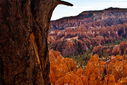 Filename=20101105_0560_561_562cutblurb_resize.jpg
Filesize=897KiB
Dimensions=1600x1067
Date added=Dec 02, 2013 20101105_0560_561_562cutblurb_resize.jpg