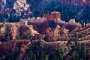Filename=20101105_0566blurb_resize.jpg
Filesize=947KiB
Dimensions=1600x1067
Date added=Dec 02, 2013 20101105_0566blurb_resize.jpg