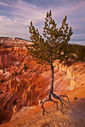 Filename=20101106_0785blurb_resize.jpg
Filesize=892KiB
Dimensions=1067x1600
Date added=Dec 02, 2013 20101106_0785blurb_resize.jpg