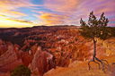 Filename=20101106_0799_800_801blurb_resize.jpg
Filesize=859KiB
Dimensions=1600x1066
Date added=Dec 02, 2013 20101106_0799_800_801blurb_resize.jpg