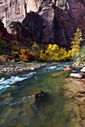 Filename=20101107_1108blurb.jpg
Filesize=885KiB
Dimensions=1067x1600
Date added=Dec 03, 2013 20101107_1108blurb.jpg