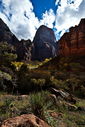 Filename=20101108_1299.jpg
Filesize=894KiB
Dimensions=1067x1600
Date added=Dec 03, 2013 20101108_1299.jpg