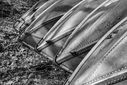Filename=20140419_0001bwcutac.jpg
Filesize=839KiB
Dimensions=1600x1067
Date added=Sep 12, 2014 20140419_0001bwcutac.jpg