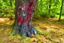 Filename=20150612_0034tac.jpg
Filesize=1080KiB
Dimensions=1600x1068
Date added=Dec 28, 2015 20150612_0034tac.jpg