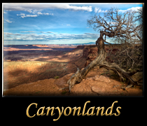 Go Canyonlands National Park