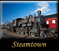 Go Steamtown National Historic Site