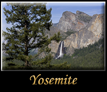 Go Yosemite National Park