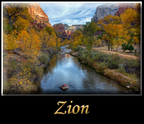 Go Zion National Park